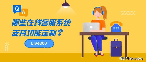 企業(yè)通常會定制在線客服系統(tǒng)哪些功能